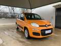 Fiat Panda 1.2 Pop EURO 6D-TEMP OK NEOPATENTATI Orange - thumbnail 3