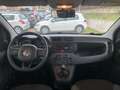 Fiat Panda 1.2 Pop EURO 6D-TEMP OK NEOPATENTATI Orange - thumbnail 13