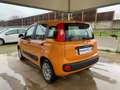 Fiat Panda 1.2 Pop EURO 6D-TEMP OK NEOPATENTATI Orange - thumbnail 6