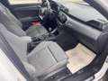 Audi Q3 Q3 Sportback 35 tdi S line edition quattro Tetto Bianco - thumbnail 11
