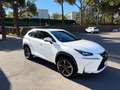 Lexus NX 300h NX 300h Corporate 2WD   Navibox Corporate   Navibox Blanco - thumbnail 6