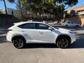 Lexus NX 300h NX 300h Corporate 2WD   Navibox Corporate   Navibox Blanco - thumbnail 5