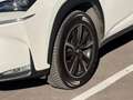 Lexus NX 300h NX 300h Corporate 2WD   Navibox Corporate   Navibox Blanco - thumbnail 7