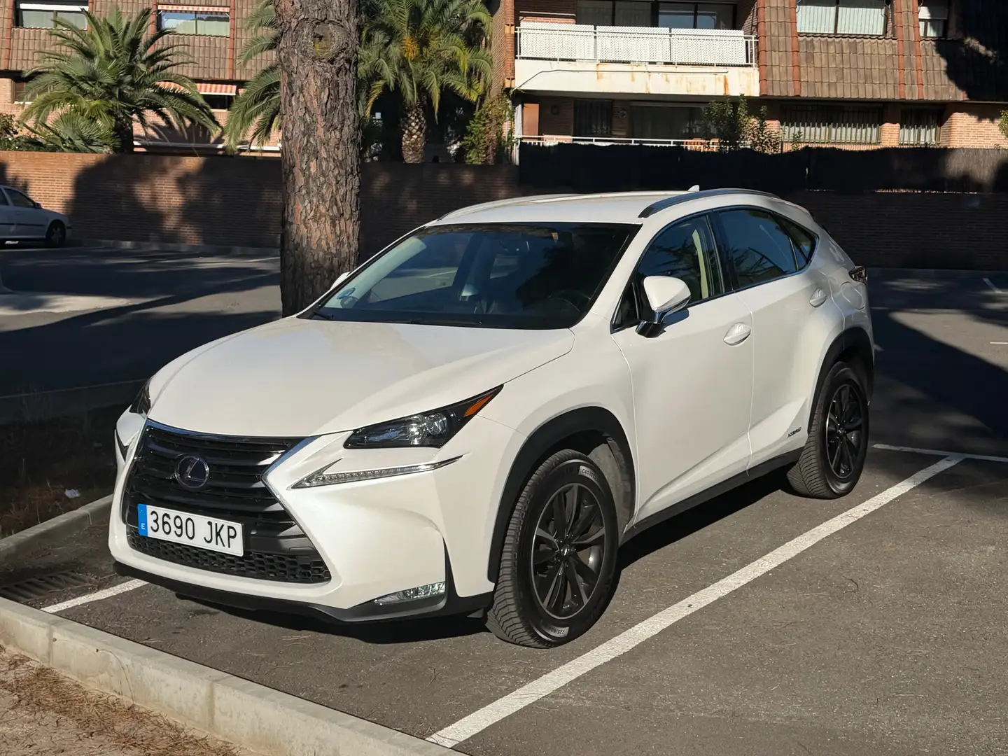 Lexus NX 300h NX 300h Corporate 2WD Navibox Corporate Navibox Blanco - 2