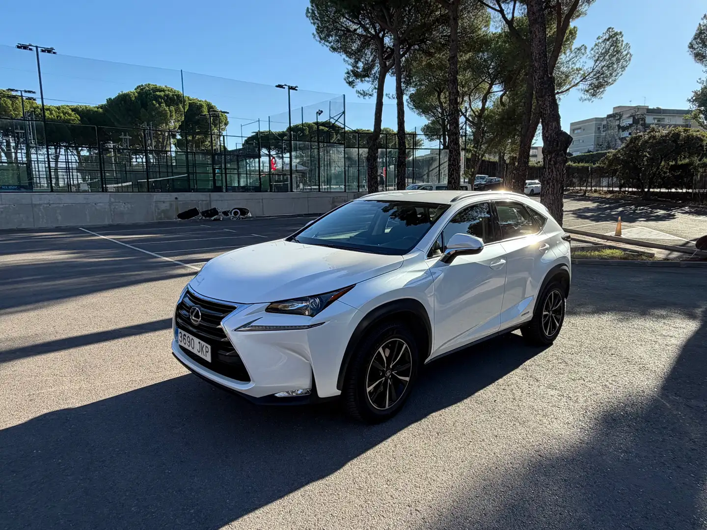 Lexus NX 300h NX 300h Corporate 2WD Navibox Corporate Navibox Blanco - 1