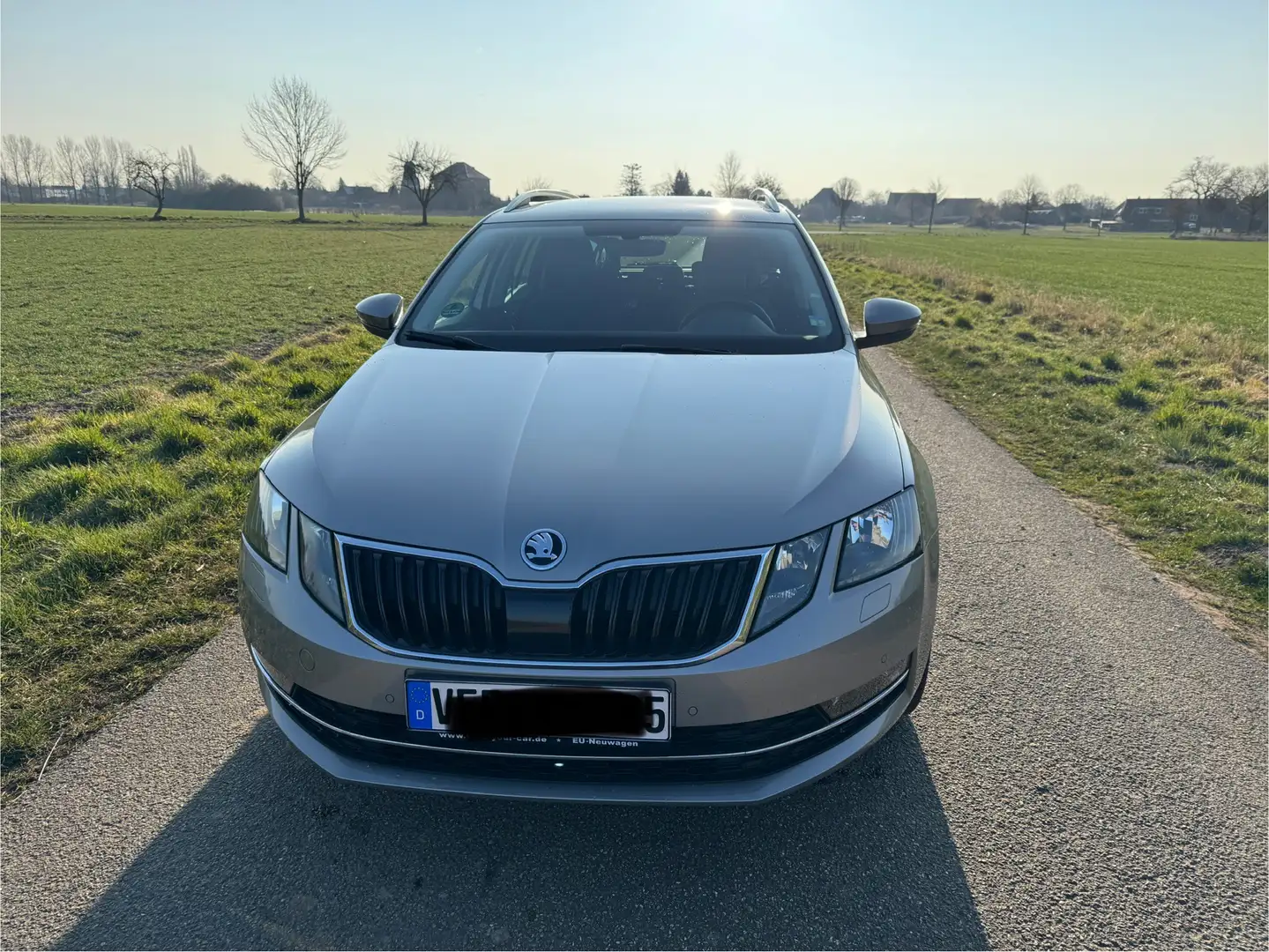 Skoda Octavia III Kombi 1.8 TSI 180PS AHK Erstbesitz - kein RS Beige - 2