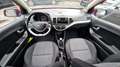 Kia Picanto 1.0 28€ STEUR+KLIMA+ALLWETTER - thumbnail 12