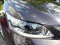 Lexus CT 200h 200H PASSION Marrón - thumbnail 7