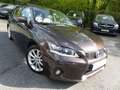 Lexus CT 200h 200H PASSION Marrón - thumbnail 3