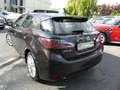 Lexus CT 200h 200H PASSION Marrón - thumbnail 4