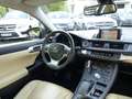 Lexus CT 200h 200H PASSION Marrón - thumbnail 13