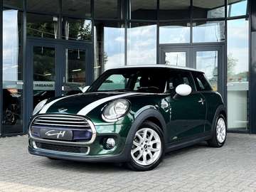 1.5 COOPER PEPPER - NAVI - 16 INCH
