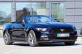 Ford Mustang 3.7 V6 MIT 2 JAHREN GARANTIE !!! Schwarz - thumbnail 3