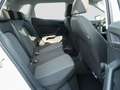 SEAT Ibiza 1.0 TSI Reference FullLink, Winterpaket Blanc - thumbnail 10