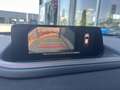 Mazda CX-30 e-Skyactive G140 Nagisa Blau - thumbnail 13