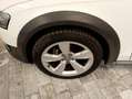 Audi A4 allroad 2.0 TDI 177 CV S tronic Business Plus Weiß - thumbnail 6