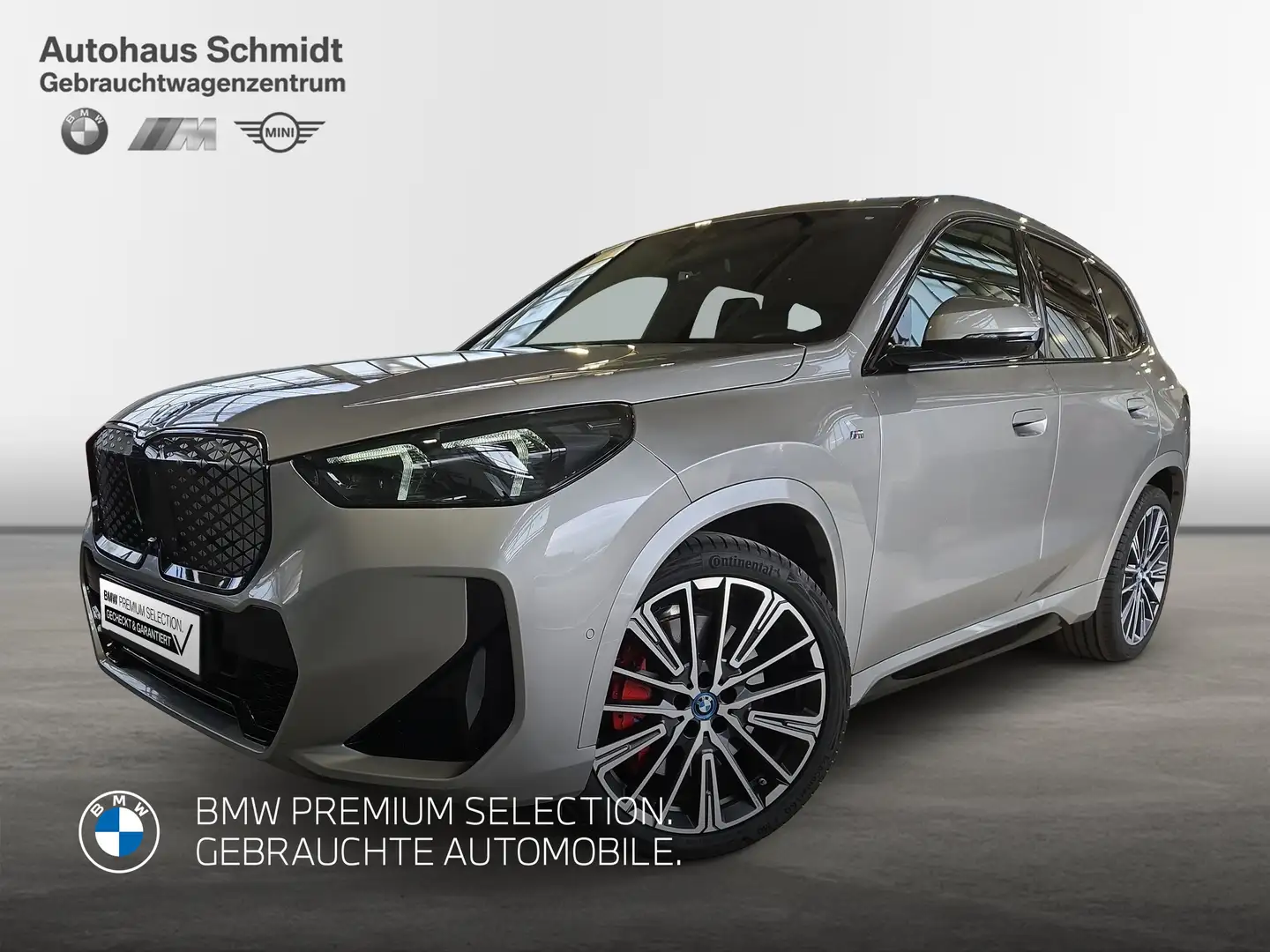 BMW iX1 xDrive30 *482,44€ netto*M Sportpaket Pro*H&K*Pano* Silber - 1