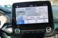 Ford Puma 1.0 EcoBoost 95 CV S&S Connect Grigio - thumbnail 14