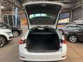 Skoda Octavia Combi 2.0 TDI Ambition DSG PDC LED NAVI Weiß - thumbnail 6