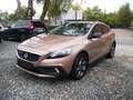 Volvo V40 Cross Country V40Cross Country, Summum,Pan.Dach,Totwinkel Brązowy - thumbnail 2