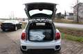 MINI John Cooper Works 1.5 John Cooper Works Trim 5 türig Blanc - thumbnail 10