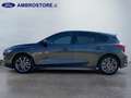 Ford Focus V 2022 - Focus 1.0t ecoboost h ST-Line 125cv Grau - thumbnail 8
