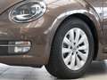 Volkswagen Beetle 1.2 TSI DESIGN PANO XENON SITZHZ Barna - thumbnail 7