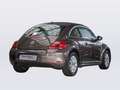 Volkswagen Beetle 1.2 TSI DESIGN PANO XENON SITZHZ Barna - thumbnail 3