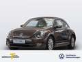 Volkswagen Beetle 1.2 TSI DESIGN PANO XENON SITZHZ Marrone - thumbnail 1