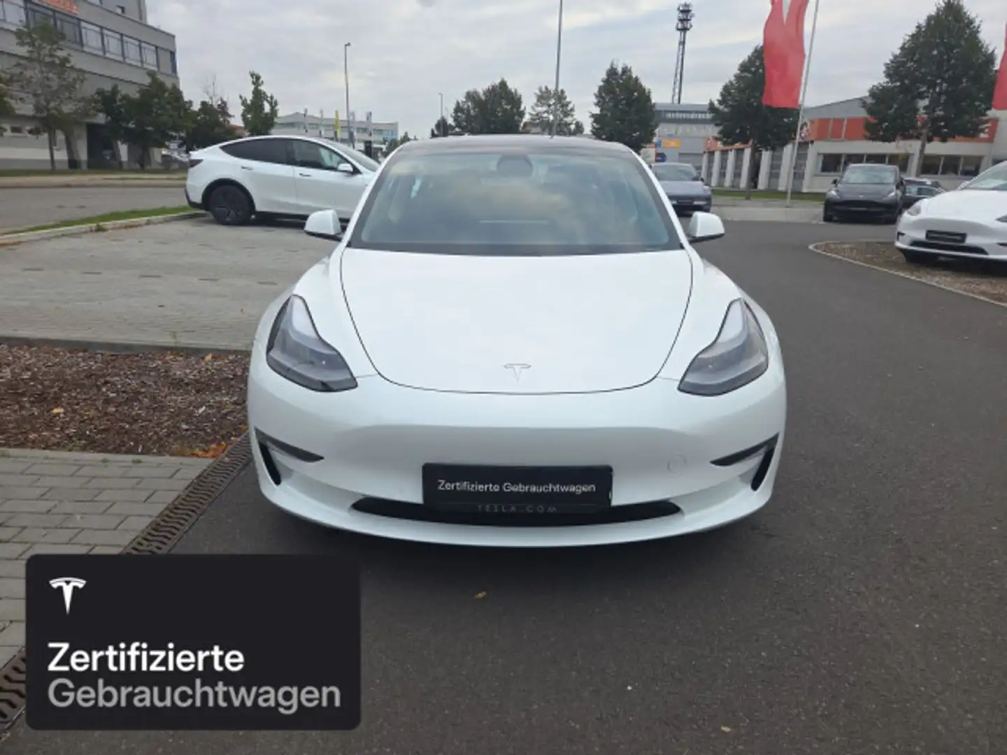 Tesla Model 3 Performance Blanco - 2