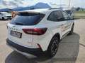 Ford Kuga 2,5 Duratec FHEV Active Aut. Weiß - thumbnail 5