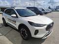 Ford Kuga 2,5 Duratec FHEV Active Aut. Weiß - thumbnail 6