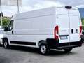 Fiat Ducato L3h2 2.2 140cv - thumbnail 4