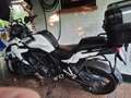 Benelli 502C Adventure Touring Motor Bílá - thumbnail 1
