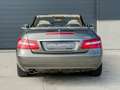 Mercedes-Benz E 220 E-Klasse BlueEfficiency Elegance Cabrio Oro - thumbnail 6