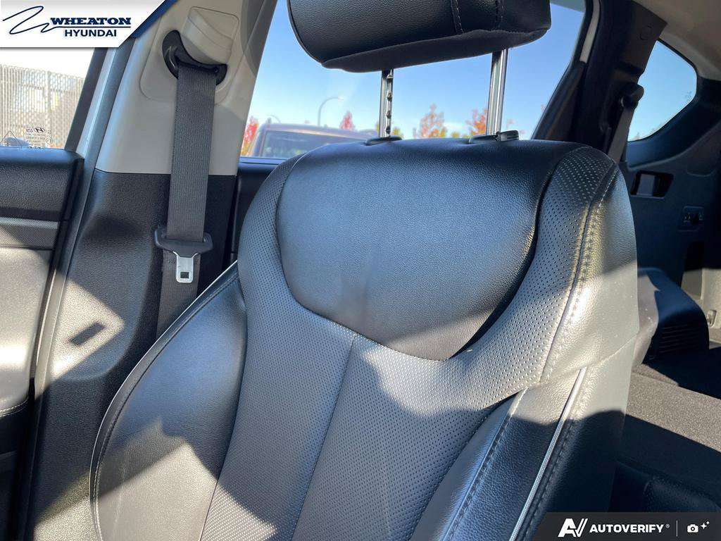 Image 19