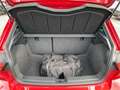 SEAT Ibiza 1.0 TSI Xcellence Kamera Navi SHZ LED Rot - thumbnail 13