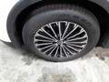 Volkswagen Tiguan 1.5 GOAL MATRIX AHK NAVI SHZ ACC Weiß - thumbnail 6