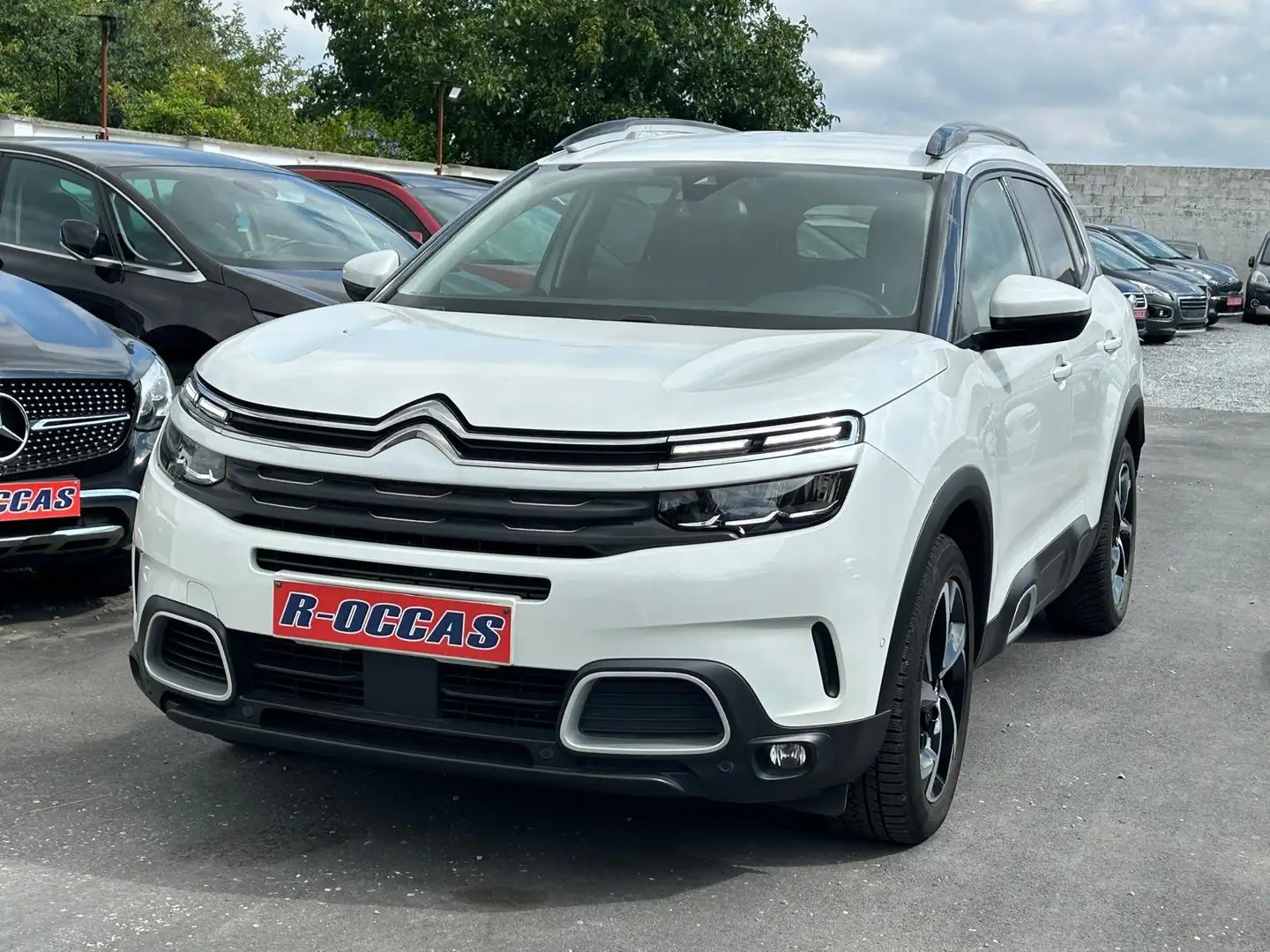 Citroen C5 Aircross C5 Aircross 1.5 BlueHDi Business GPS 360°/LED Wit - 1