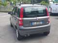 Fiat Panda Panda 1.2 Dynamic Gpl Grigio - thumbnail 4