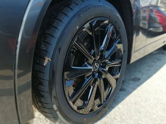 Mazda CX-60 AWD HOMURA COSO TLOP Rückfahrkamera Ansicht 5