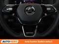 Skoda Karoq 2.0 TDI Sportline Grau - thumbnail 19