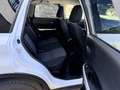 Suzuki Vitara 1.6 DDiS Comfort 4x4   Pickerl Neu 03/27 Weiß - thumbnail 14