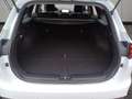 Kia Ceed SW / cee'd SW ceed SW 1,6 CRDi SCR ISG Silber 48V DCT Weiß - thumbnail 20