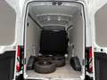 Ford Transit Kasten 350 L2H3 Trend-KLIMA AHK STANDHZG Weiß - thumbnail 10