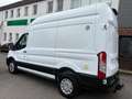 Ford Transit Kasten 350 L2H3 Trend-KLIMA AHK STANDHZG Weiß - thumbnail 7