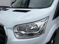 Ford Transit Kasten 350 L2H3 Trend-KLIMA AHK STANDHZG Weiß - thumbnail 21