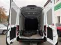 Ford Transit Kasten 350 L2H3 Trend-KLIMA AHK STANDHZG Weiß - thumbnail 9