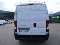 Opel Movano 35 2.2 BlueHDi 140 S&S PLM-TA + IVA Bianco - thumbnail 4