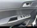 Kia Sportage 1.6 CRDI 136 CV DCT7 2WD Mild Hybrid Business Clas Bianco - thumbnail 10